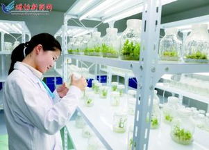 招才引智助力鄉(xiāng)村振興