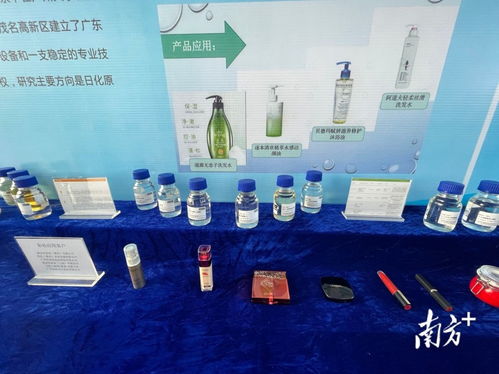 新區(qū)與新城 臨港產(chǎn)業(yè)起航,文旅康養(yǎng)連片,精細(xì)化工和新材料有了冠軍 茂名縣域 平臺發(fā)展觀察