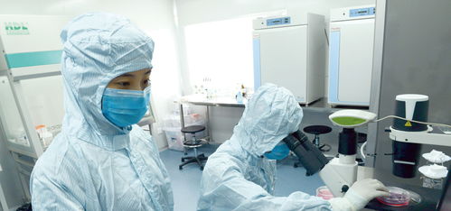 快訊 越來越多的人存儲干細(xì)胞 用于未來治病