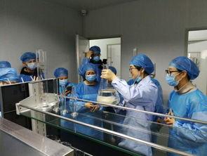 伊敦生物纖維面膜主打安全美麗