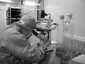 開發(fā)區(qū) 科技創(chuàng)新 增添新亮點