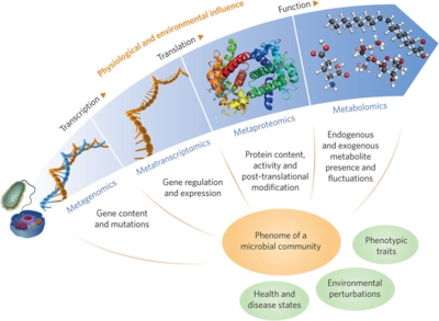 “它的前半生” 腸道微生物與人類相關的方方面面_搜狐科技