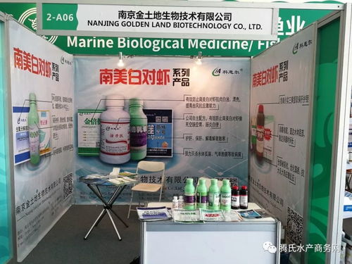 中國海洋第一展 登錄湛江,吸引2000多家中外企業(yè) 超1.5萬人入場 看看今年的海博會都有誰來了