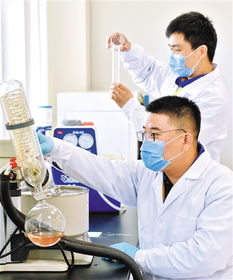 石家莊 全方位激活創(chuàng)新基因