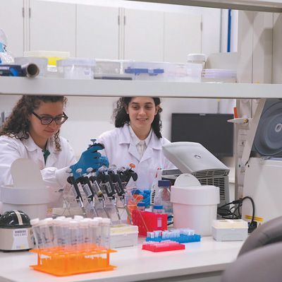 堅持創(chuàng)新驅(qū)動 增強發(fā)展動能