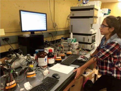 質(zhì)量之星 三 元泰豐 包頭 生物科技