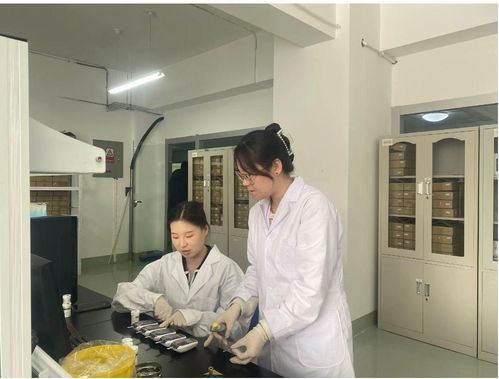 小巨人 蘊含大能量 恒升醫(yī)學(xué) 科技創(chuàng)新賦能產(chǎn)業(yè)高質(zhì)量發(fā)展