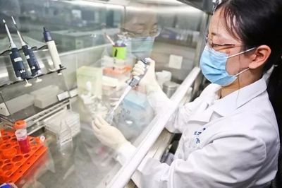 安科生物加速安徽省醫(yī)藥產(chǎn)業(yè)基地建設(shè) 推動產(chǎn)業(yè)集聚發(fā)展