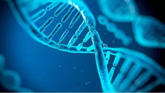 珍奧雙迪二十年 三大核心科技 開啟健康未來