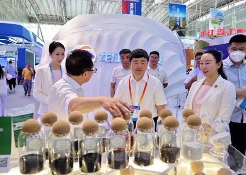 龍睿好物 走出深閨人已識