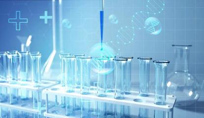 打造國(guó)際生物醫(yī)藥產(chǎn)業(yè)新高地!帶你探索上海灣區(qū)生物醫(yī)藥港