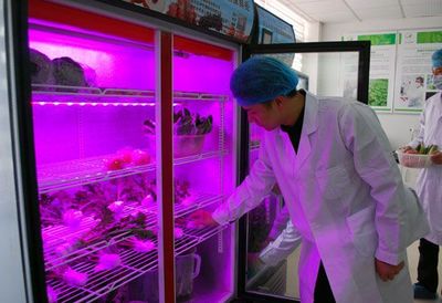 中美聯(lián)合研發(fā)生物酶降解蔬果農(nóng)殘保鮮技術(shù)獲成功