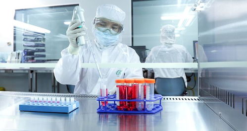 河南北科生物 推動臨床轉(zhuǎn)化 發(fā)掘小細(xì)胞的大潛力