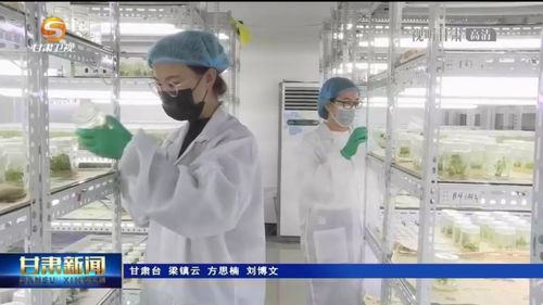 蘭州新區(qū)筑 產(chǎn)才融合 生態(tài)圈 高質(zhì)量發(fā)展添新動能鳳凰網(wǎng)甘肅 鳳凰網(wǎng)