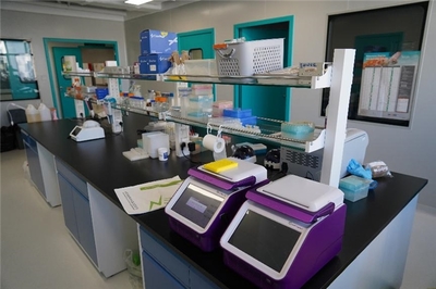 微生物發(fā)酵技術(shù)創(chuàng)新 丁酸梭菌實現(xiàn)自主擴(kuò)培