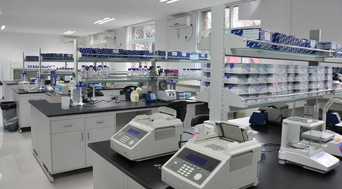 海闊憑魚躍,職多任你選 作物科技產業(yè)大平臺,薪無止境, 職 得向往 工作