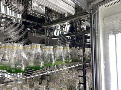 新知|細胞工廠,萬物皆可"造"?揭秘神奇的"微生物打工仔"