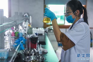 傳統(tǒng) 皮都 轉型升級時尚 寵物小鎮(zhèn)