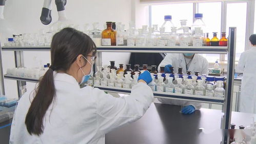 安徽省培育專精特新中小企業(yè)2618戶