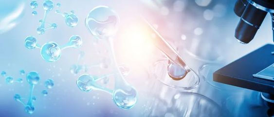 數(shù)讀2024江蘇科技