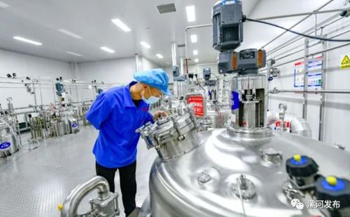 許昌市委書記市長周末帶隊(duì)赴漯,想學(xué)什么