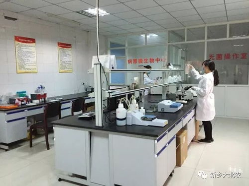 喜訊 新鄉(xiāng)大北農(nóng)被授予 生物營(yíng)養(yǎng)配方飼料 河南省工程實(shí)驗(yàn)室