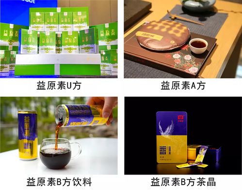 專(zhuān)家齊聚 尖峰論道, 微生物科技 能為普洱茶發(fā)展帶來(lái)多大想象力