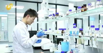 煙臺(tái) 聚焦新興產(chǎn)業(yè)培育 壯大發(fā)展新動(dòng)能