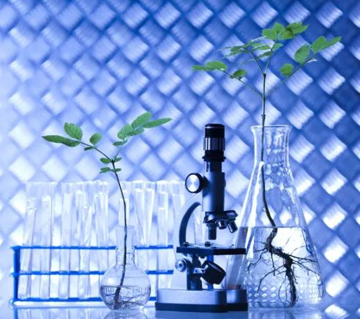 三農(nóng)日?qǐng)?bào)|政策:鼓勵(lì)資本助推生態(tài)循環(huán)農(nóng)業(yè);農(nóng)村新電商模式正成為趨勢(shì);券商:全球農(nóng)產(chǎn)品“冰火兩重天”;北大荒:加緊投建“無(wú)人農(nóng)場(chǎng)”