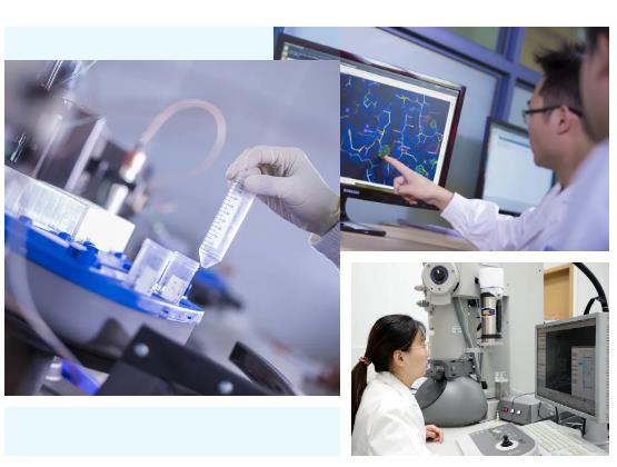 雙良集團(tuán)旗下生物科技公司佰翱得完成逾億元a輪融資