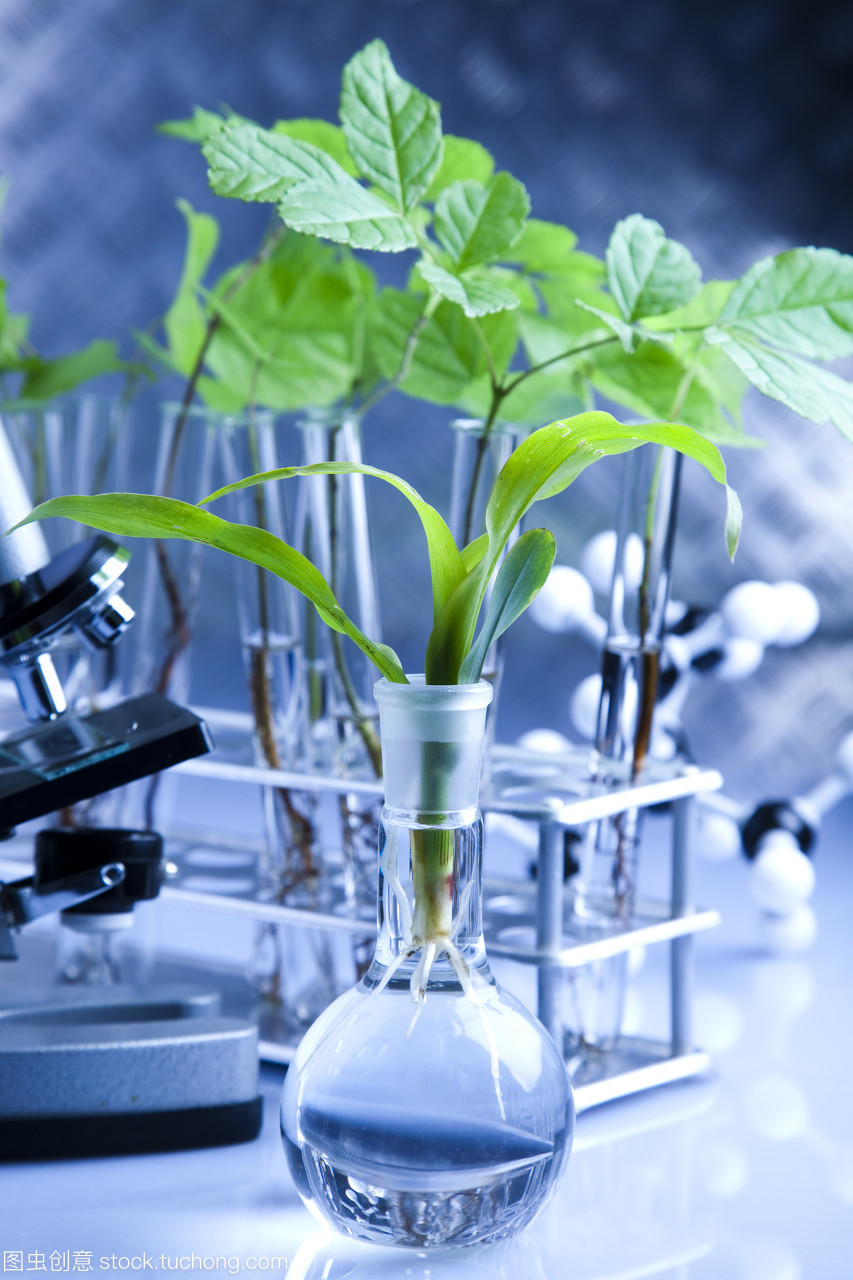 化學品,大自然,學習,醫(yī)藥,實驗,實驗室,微生物學,技術,開花,成長,栽培,植物,植物學,植物的葉子,樹葉,掉下,化驗室,化學藥品,醫(yī)學,醫(yī)療,測試,生物,生態(tài),滴下,測驗,生物學,生物化學,生物科技,生長,研究,種植,科技,科學,自然界,自然,考驗,花卉,花神,背景,花朵,藍,花,試管,藍色,配藥學,閱讀,藥物,試驗,書房,讀書,葉子,化學