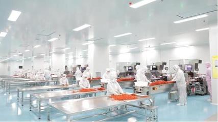 年產(chǎn)10億包,超大制藥級辣條車間湖南投產(chǎn)