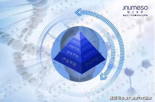 權(quán)威五大平臺(tái)為暨大美塑tat品牌開啟美業(yè)抗衰領(lǐng)域的聚變創(chuàng)新