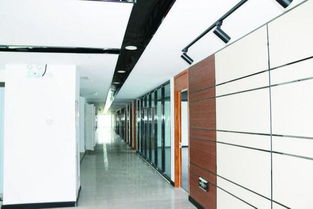 重大項(xiàng)目建設(shè) 進(jìn)行時(shí) 十七 ⑥