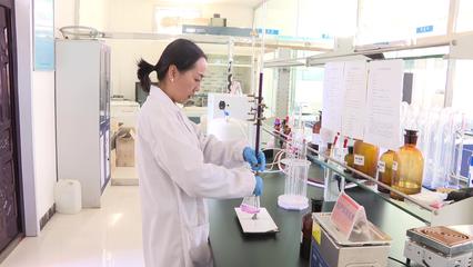 迪高維爾:打造河西地區(qū)一流的飼料生產(chǎn)企業(yè)