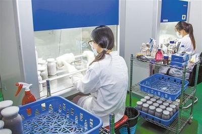 他創(chuàng)業(yè)種植食用菌,要想致富就要靠技術(shù)!