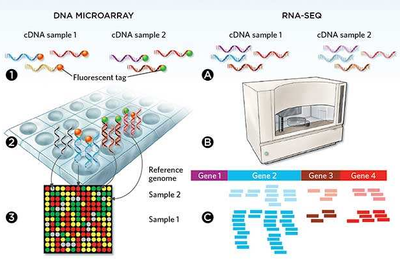微流控自動(dòng)化技術(shù)革新RNA-Seq文庫(kù)構(gòu)建流程 --- FLUIDIGM發(fā)布更高效、更節(jié)約成本的Advanta RNA-Seq NGS 文庫(kù)構(gòu)建解決方案