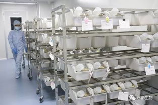 全年滿分 永諾醫(yī)學(xué)檢驗(yàn)所再次滿分通過(guò)2017年全國(guó)臨床檢驗(yàn)室間質(zhì)評(píng)