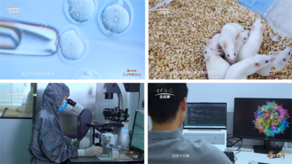 《實(shí)業(yè)精神》欄目走進(jìn)賽業(yè)生物,探尋AI與醫(yī)藥科學(xué)新未來
