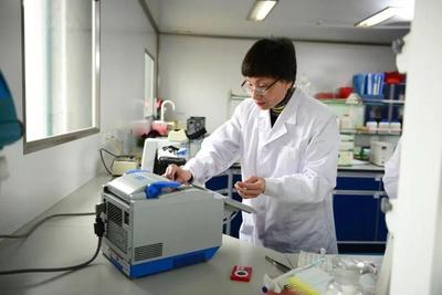 中國(guó)婦女十三大代表風(fēng)采|陳瑞愛:創(chuàng)新突破技術(shù)瓶頸,逐夢(mèng)擔(dān)當(dāng)科技興農(nóng)