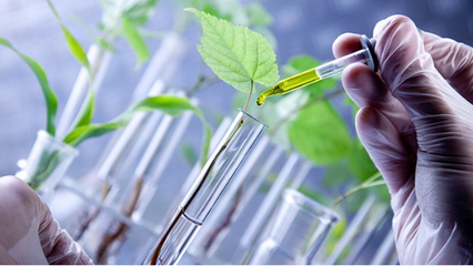 里貝里生物科技引進(jìn)新技術(shù)用于水溶肥研發(fā)和生產(chǎn)