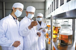 安徽各縣多措并舉用秸稈 變廢為寶獲實惠