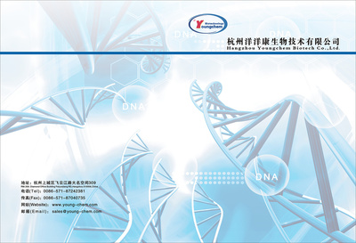 N年前的畫冊|平面|書裝/畫冊|Alina_0706 