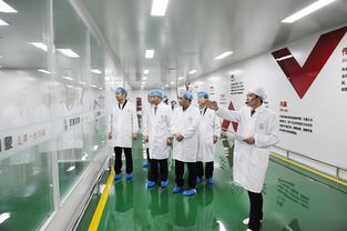 江蘇漢皇印象,用科技創(chuàng)造美的源動力