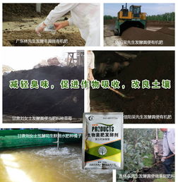 雞糞有機(jī)肥專用的發(fā)酵劑那里有買的