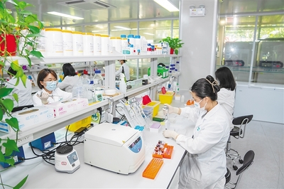 三亞崖州灣科技城開發(fā)建設(shè)5年來累計招引企業(yè)破萬家