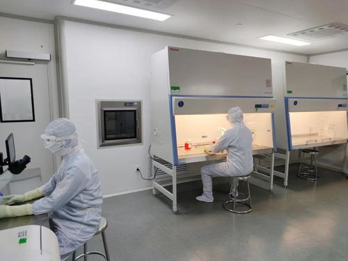 肝衰竭患者的福音 中國首個生物人工肝核心組件獲批臨床試驗(yàn)