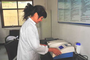 澄城農(nóng)業(yè)現(xiàn)代農(nóng)業(yè)技術(shù)集成研發(fā)成果初顯