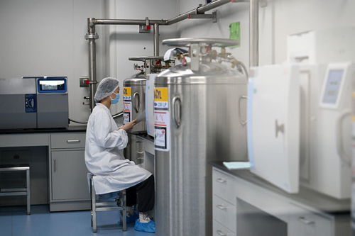 制勝 新賽道 鍛造 生力軍 天津加快發(fā)展新質(zhì)生產(chǎn)力