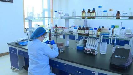 【新時(shí)代 新征程 新偉業(yè)】甘州區(qū)兩項(xiàng)科技項(xiàng)目獲2023年度省級科技重大專項(xiàng)立項(xiàng)支持